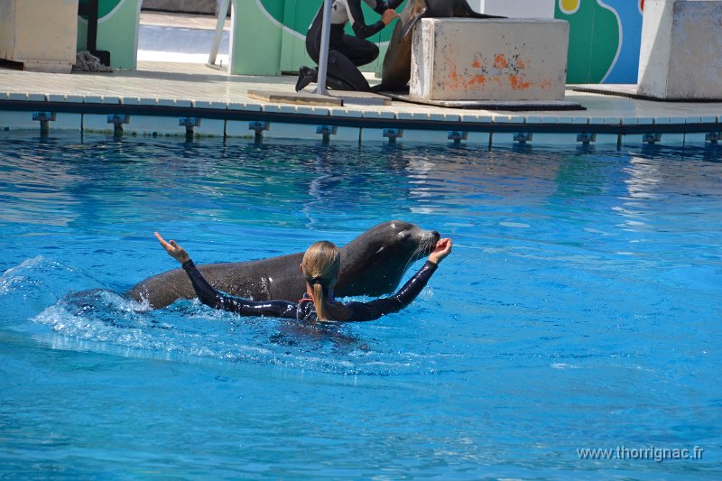 Marineland aout 2014 65.JPG - Marineland - Parc d'attractions aquatiques - Antibes - Août 2014